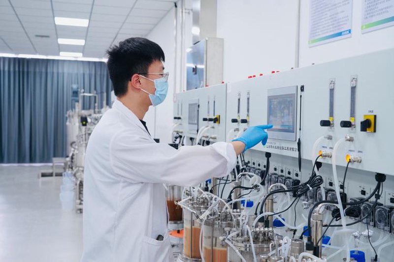 分子生物学试剂：探索生命的密码
